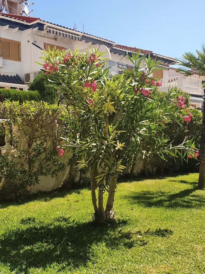 Parquemar Con Vistas Al Mar Apartment La Mata  Ngoại thất bức ảnh
